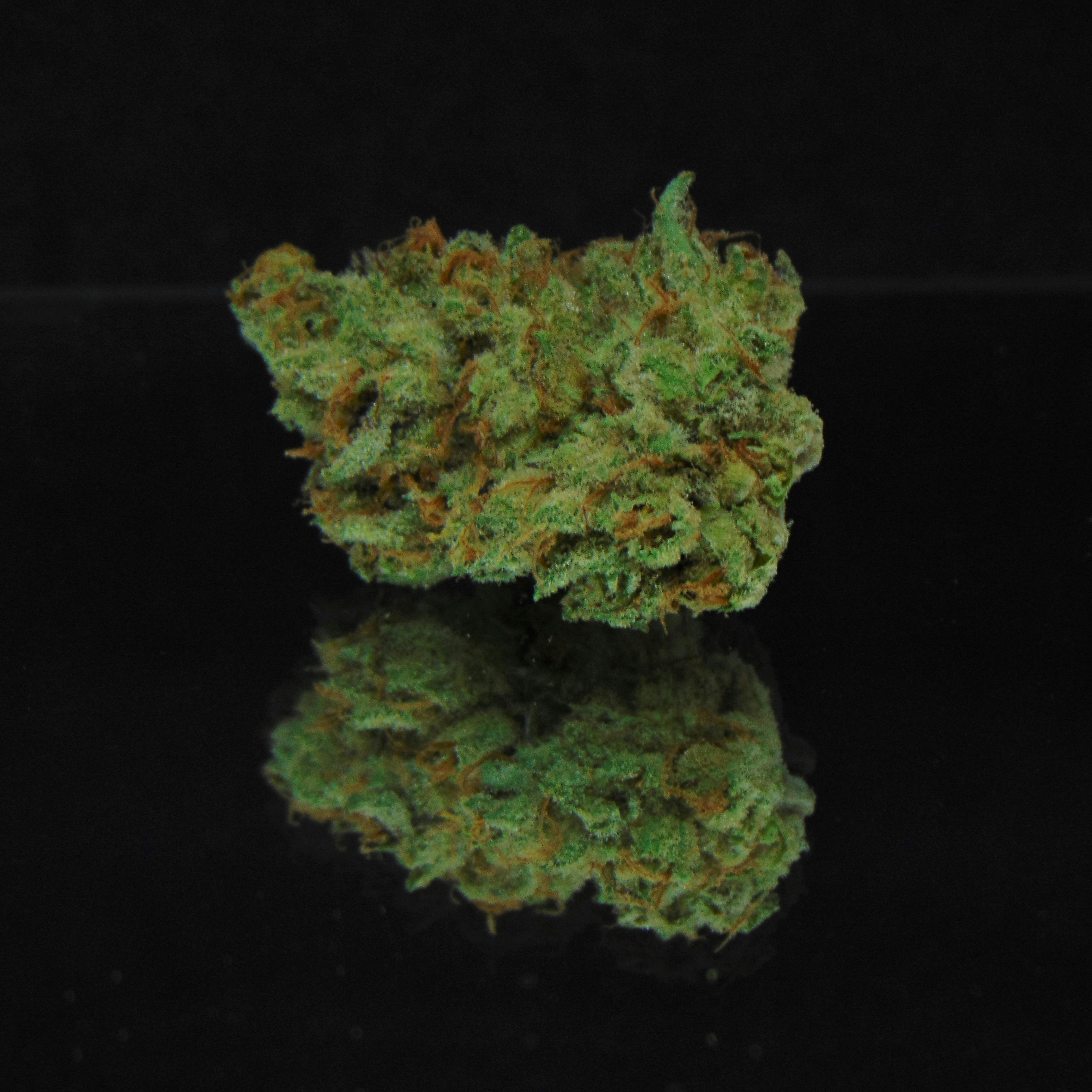 Green Bodhi Tangie Haze Kush Leafly